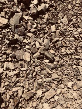 Postani vinar za en dan 8